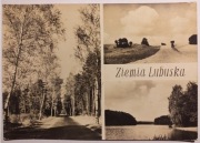 ZIEMIA LUBUSKA - KRAJOBRAZ FOT. J. KORPAL