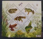 Fauna zwierzęta płazy żaby Ukraina