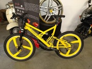 Rower PORSCHE FS Evolution 