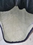 Regatta Branleigh-męski ,ocieplany polar rozm S(48)