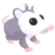 Possum Adopt Me AM
