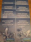 Poradniki mini. Castoramy