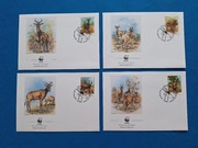 Zestaw 4 szt. koperta koperty WWF Mozambik bawolec