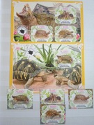 Kolekcja znaczków kasowanych Fauna Gady Żółwie w albumie.