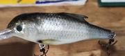 Wobler Shad Rap pokryty skórą z płoci Natural Fish