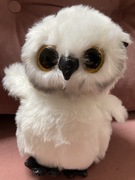 Nowy pluszak sowa 