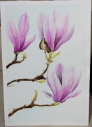 Magnolie - akwarele w formacie 15,5cm x 23cm