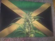Obrazy na Płótnie w stylu Reggae