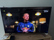 Telewizor TCL 43" P615 LED 4K 