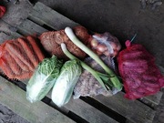 Paczka warzyw bezpośrednio z gospodarstwa od rolnika wysyłka inpost 