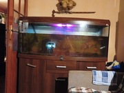 Akwarium 500 litrów  plus filter 1300 l wydajność 
