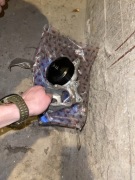 Pompa wody chłodzenie silnika 