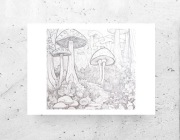 biało czarny plakat A4, muchomory plakat 21x30, las plakat z grzybami