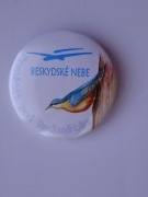 Przypinka metalowa - Frenstat pod Radhostem - beskidzkie niebo - ptak