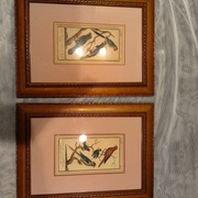 Akwaforta ręcznie kolorowana akwarelą, XVIII wiek. 2 szt