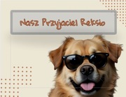 Szablon fotoksiążki do edycji w Canvie Album o psie + 4 prezenty 