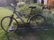 Rower męski XL Merida Cross Way 5