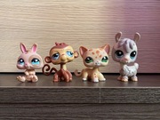 LPS Littlest pet shop pop shorthair zestaw