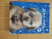 Kto mnie przytuli? Piesek na medal Agnieszka Stelmaszyk