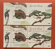 FI-5462**Nowodruki KAMELEON