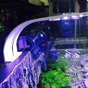 Lampa akwariowa LED Nicrew ultracienki klips 40 diod