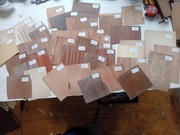 Forniry okleiny próbki gatunków renowacja