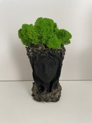 Dekoracja betonowa z chrobotkiem