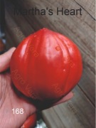168-Martha's Heart. Pomidory kolekcjonerskie.