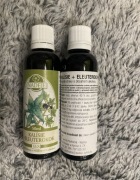 krople złoty wąs żeń-szeń syberyjski Callisia fragrans 50ml oryginalne