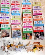 Koty Zestaw czasopism i figurek