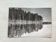 Jezioro Koronowskie Koronowo pocztówka