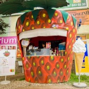 Budka,wyposażony kiosk do sprzedaży lodów
