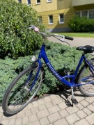 Rower Damski Gudureit - wbudowana blokada, przerzutka w piaście