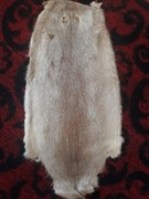 Zestaw skór z nutrii 22 szt.