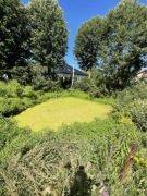 przyjmę ziemię - dużo - część dziury po stawie 15x15m Andrespol Rokicińska