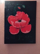 Obraz mak malowany akrylem