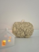 Beżowa dynia z chrobotkiem reniferowym. Jesienna dekoracja na półkę.