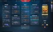 Konto Valorant Vp/Skiny