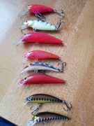 Woblery Siek Dorado!!!! 