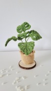 Kwiaty w doniczce na szydełku Monstera 