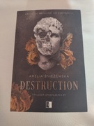 Destruction A.Śnieżewska