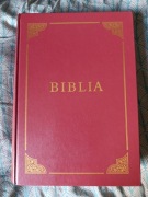 Biblia - format A4 z kolorowymi grafikami - Unikat