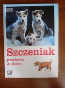 Szczeniak przybywa do domu