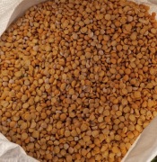 Groch połówki opakowanie 25kg 