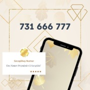 Szczęśliwy Złoty Numer 731 666 777