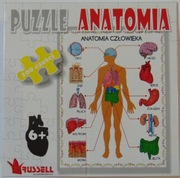 Puzzle Russell Anatomia Człowieka 100 elementów