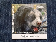 Niedźwiedż Krótkopyski film DVD 