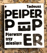 Pierwsze trzy miesiące - Tadeusz Peiper