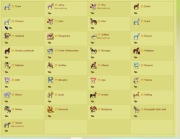 KONTO, 15 tys PD, Upominki Hestii, BOSKIE KONIE