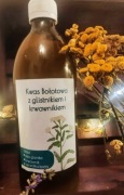 zakwas Bołotowa - enzymy z krwawnikiem - 2x500 ml
